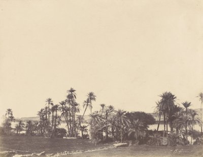 Bordi del Nilo, Kalabsché da John Beasly Greene